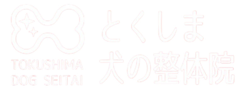 とくしま犬の整体院